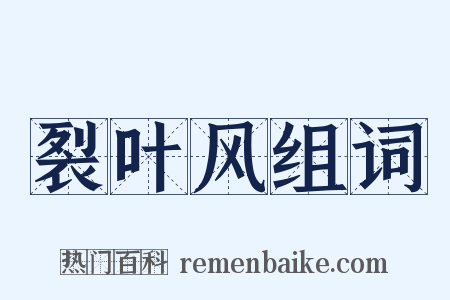 裂叶风组词是什么意思的图片